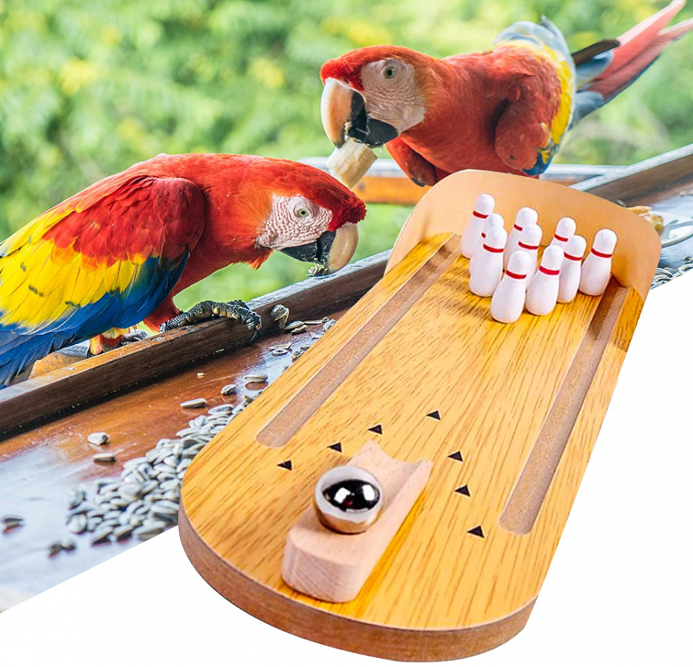 Wooden Bird Perch Toy