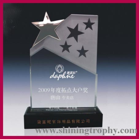 Crystal awards en trofeeën HDSA1020