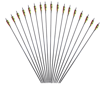 Wholesale Customized Archery Arrows with Pure Carton Shafts
