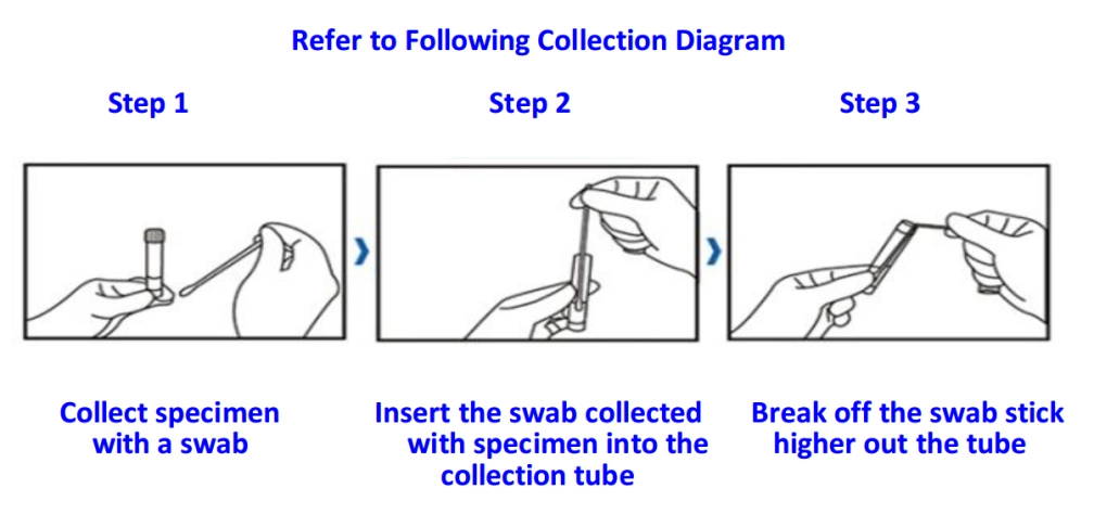 Swab collection kit culture tube