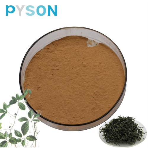 Gynostemma pentaphyllum Extract Gypenoside ≥50%