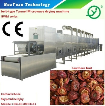 fruit dryer-microwave dryer for fruit-fruit drying equipment