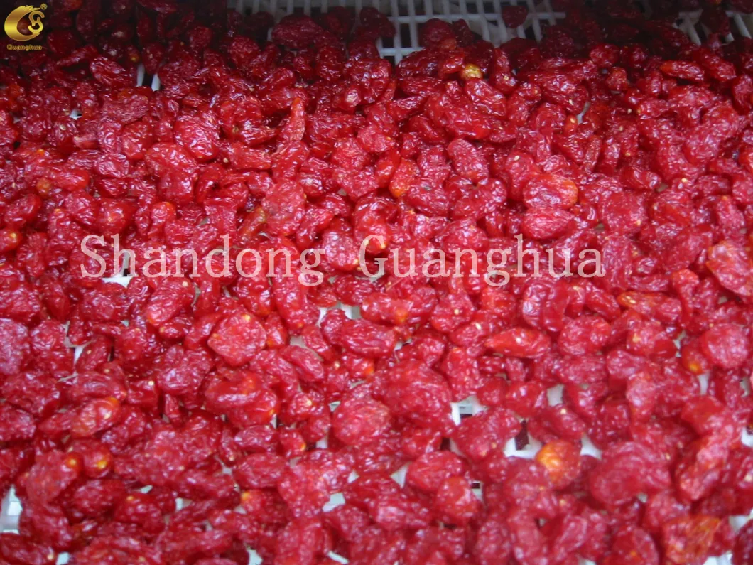 Wholesale Dried Tomato Cherry with Sweet Taste