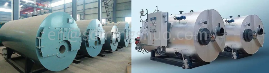 Horizontal Type Gas Biogas Steam Boiler