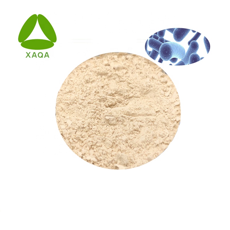 Bacillus Coagulans Bacillus Coagulans