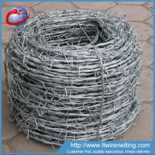 China supplier best price hot dipped gavanized barbed wire