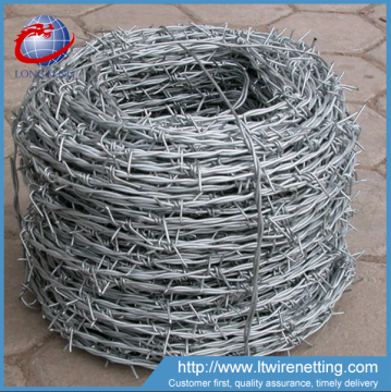 China supplier best price hot dipped gavanized barbed wire