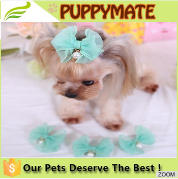 dog bow, blind dogs accessories/hair accessories feather bow