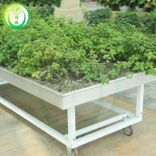 The Cheapest And Best Quality Greenhouse Rolling Benches
