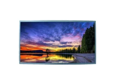 Ronen 21.5 Inch LCD Display for Tablet Laptop Monitor Terminal Display 1920X1080