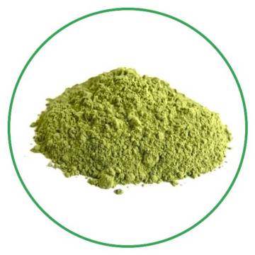100% wild natural organic asparagus root extract powder