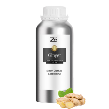 Nature ginger essential oil ginger oil