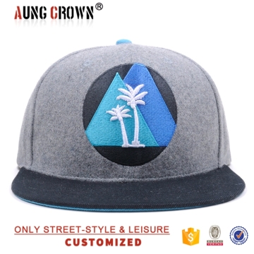 latest new plain brand cheap hip hop snapback cap