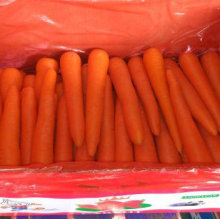 Новый урожай хорошего качества свежей моркови