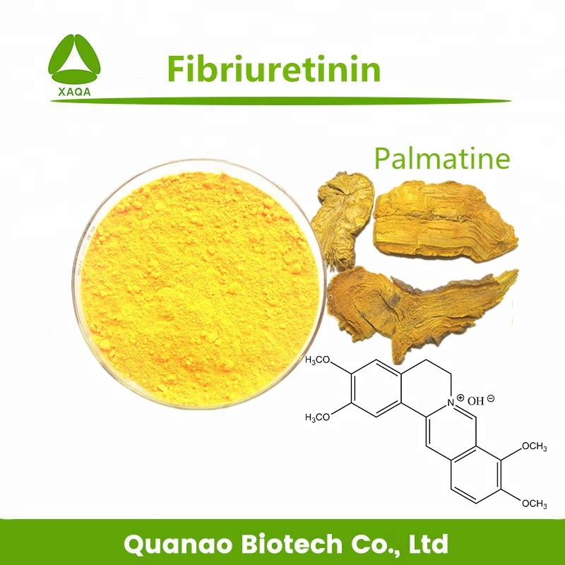 Poudre de fibriuretinine/palmatine 98% de catégorie pharmaceutique