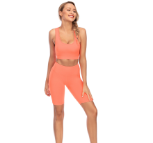 Yoga Sets Fitness Sport Bra sets