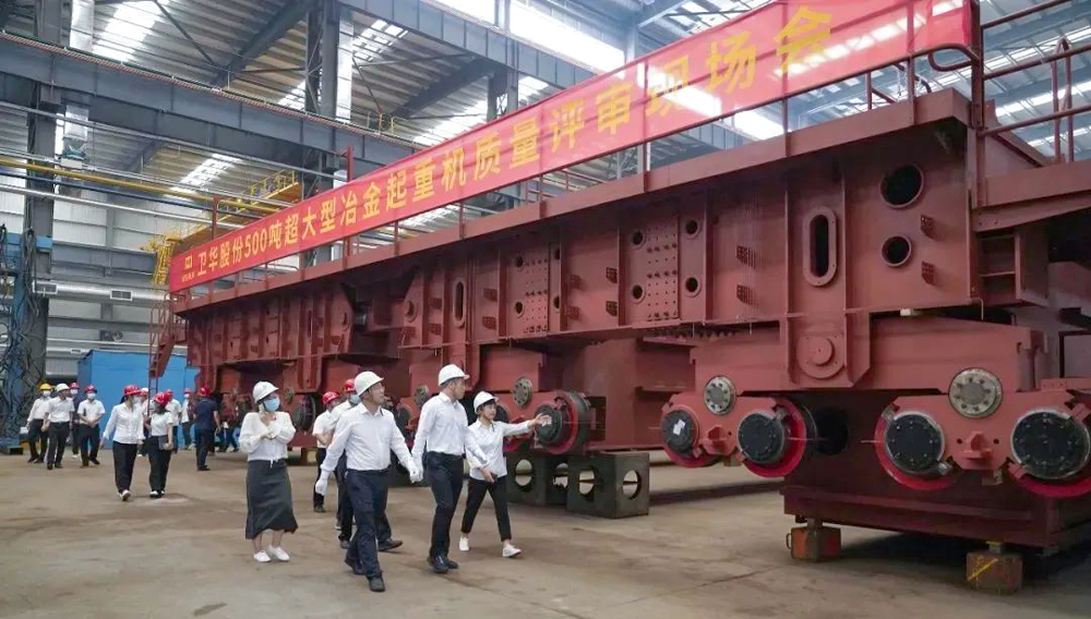 500T-ladle-crane-assessment