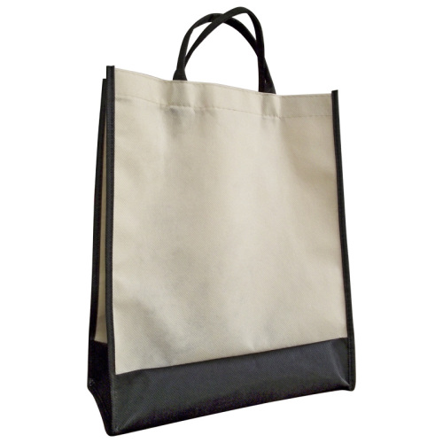 Non Woven Shopping Bag (DSCF1160)