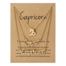 Gold and Silver Plated Astrology Pendant Set: 12 Zodiac Sign Women's Necklace Jewelry