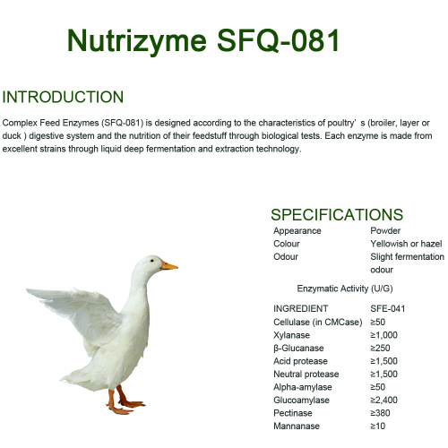Enzymes complexes pour la volaille
