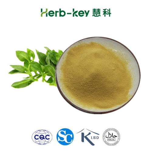 Andrographis paniculata extract andrographolide 98%