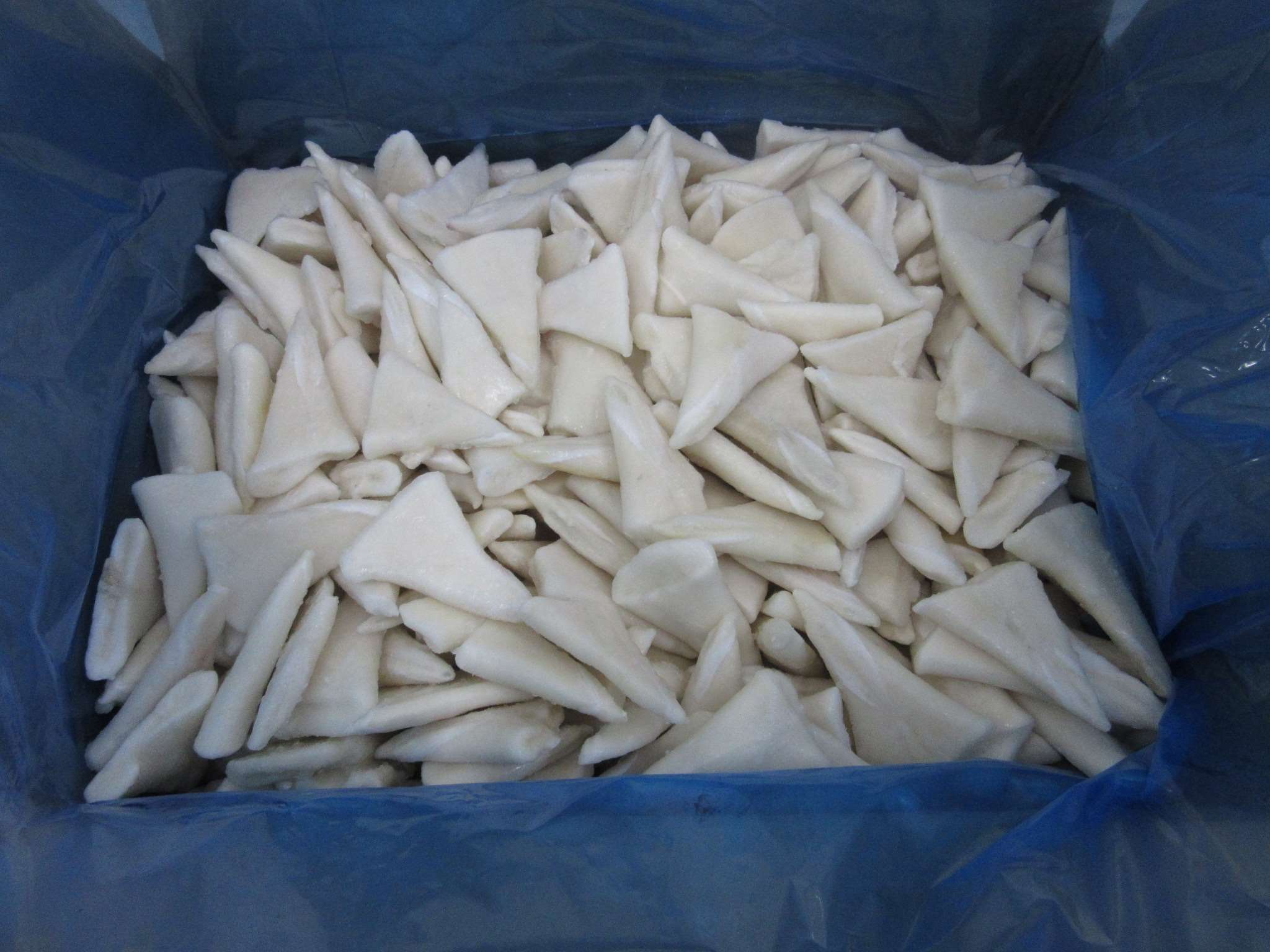 Wholesale Frozen Seafood Squid Tip,tipon Frozen Calamari Tip,tipon
