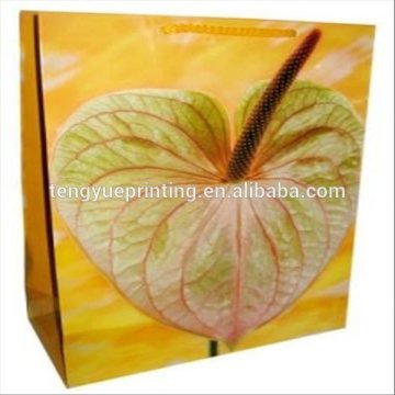 plastic PP red wine bottle carrier bag