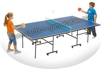 Indoor Table Tennis Table