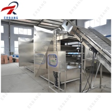 DW Series Belt Type Dryer