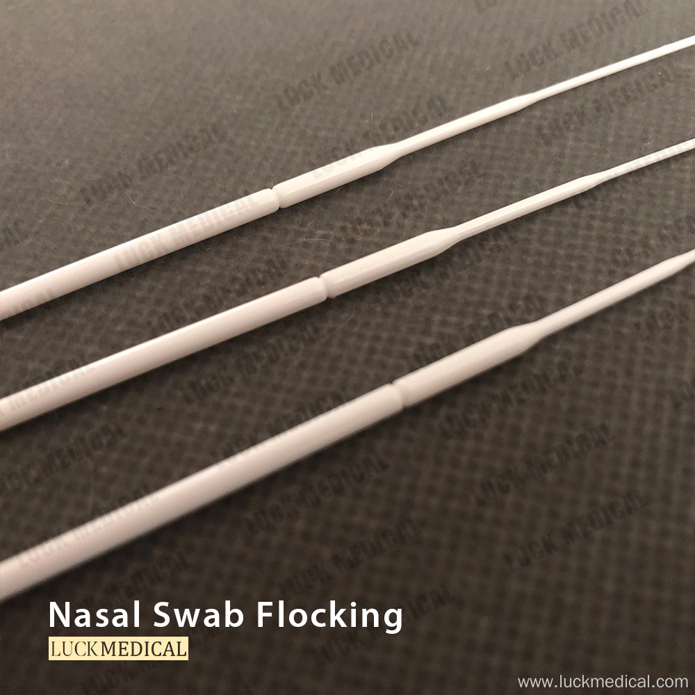 NP Flocked Swab Regular Flocked Swab