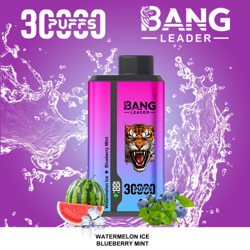 Bang Leader 30k Disposable Vape Europe Warehouse Stock