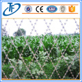 High Quality Straight Line Razor Wire