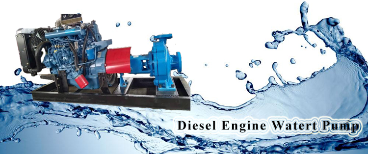 3 inch diesel trash water transfer pump