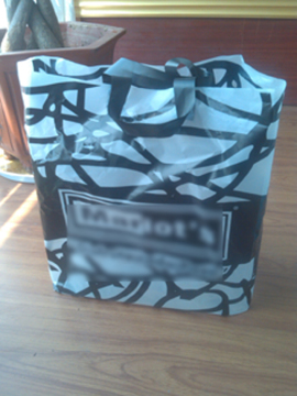 Designer Promotional Apparel Plastic Shopping Bag for Sheoes (PE-45)