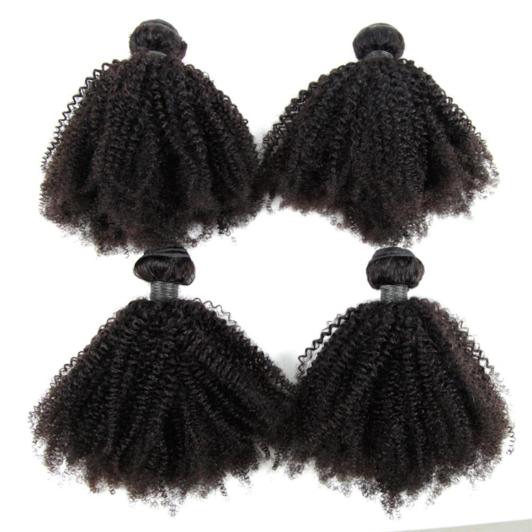 Lsy Mongolian Afro Kinky Curly Hair Bundles 4A 4B 4C Human Hair Bundles 3 PCS 8-20inch Remy Hair Weave Extensions Can be Dyed