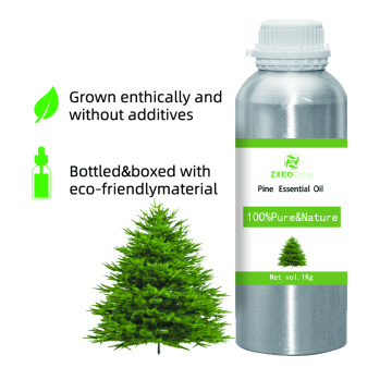 Aceite esencial de pino 100% puro y natural Aceite de bluk de alta calidad BLUK Oil para compradores globales El mejor precio