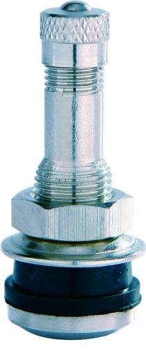 Tire Valve Stem TR416