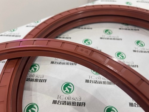 Durable 1 Fluoro Rubber Oil Seal
