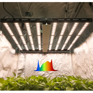 Terbaik 1000W LED Tanaman Indoor Grow Lights AC100-277