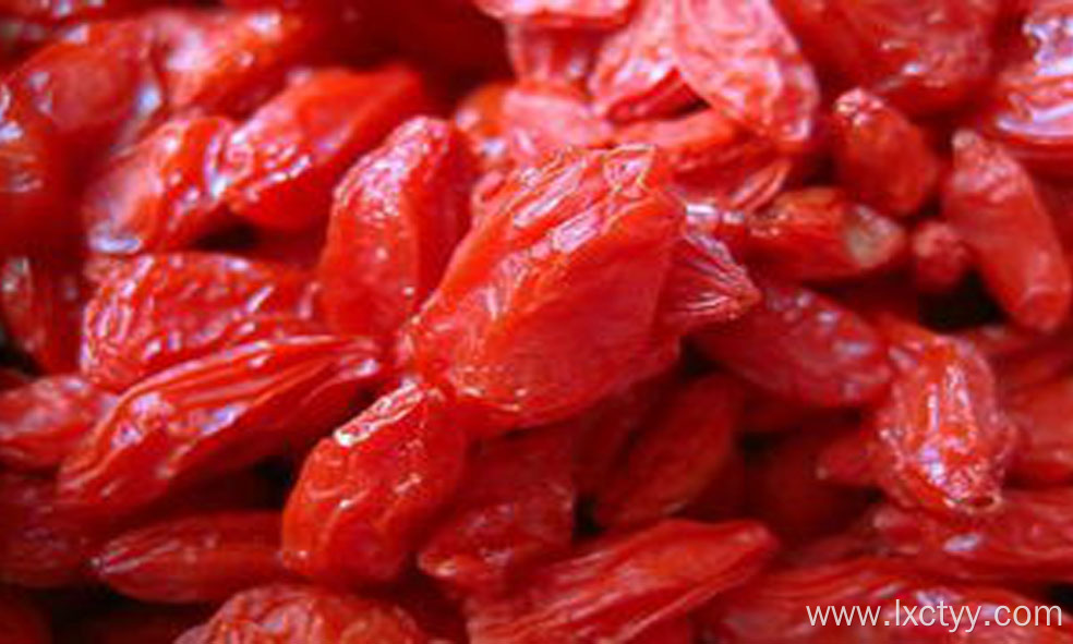 freeze dried goji berry