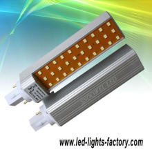 13w G24 Smd Led Lights?