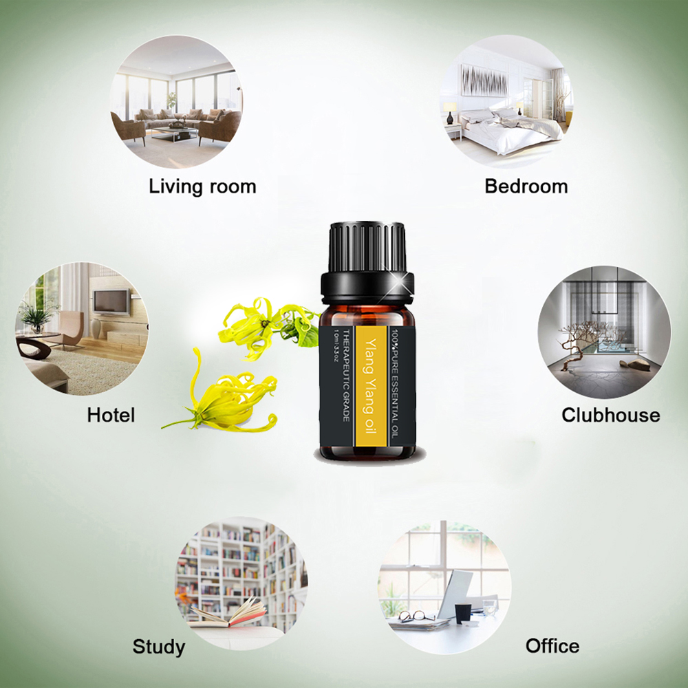 Pure Organic Ylang Oil Essential para difusor de aromaterapia
