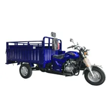 Gasoline Tricycle: Hf150zh-as Cargo Motorcycle