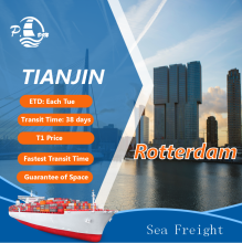 Sea Freight From Tianjin To Rotterdam