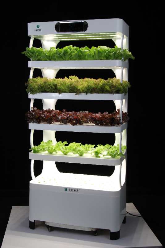 Hydroponic System 11