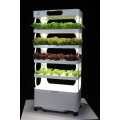 Hydroponic Home Used Vegetables Plant Planter