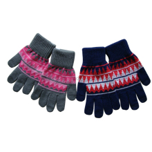 Screen Touching Acrylic Glove Mg-29