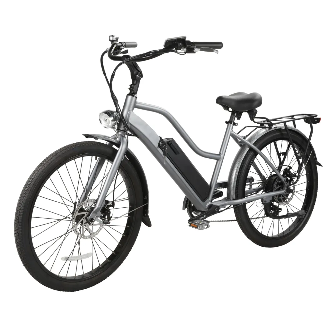 Urban Style Electric Bicycle for City Road