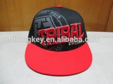 embroidery snapback hat