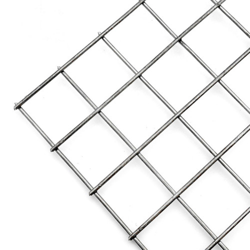 elektro galvanized wire mesh dikimpal